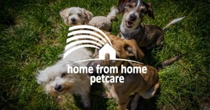 Home From Home Pet Care Limited