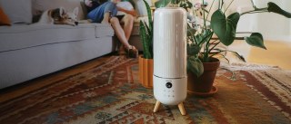 Homedics Limited