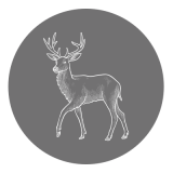 Homer logo