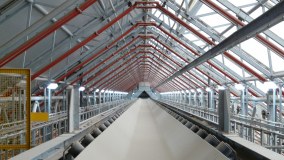 Hutchinson Whitlam Associates