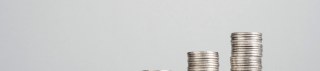 A V S Consulting