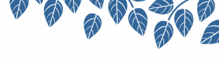 Indiwoods Limited