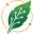 Institute For European Environmental Policy