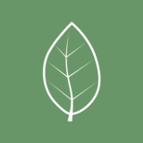 Islington Chiropractic Clinic