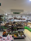 Italian Continental Stores Limited