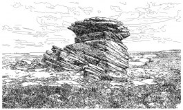 J G C Tovey
