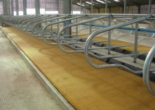 J Wilson Agriculture Limited
