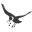 Jackdaws Educational Trust