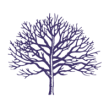 James Latham (Sales) Plc logo
