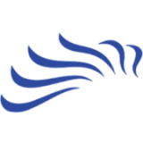 Dark Horse Agency Limited logo