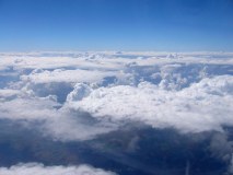 Jerry Goldie logo