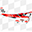 Air Images Limited