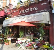 Josephines Flowers