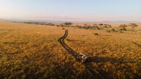 Journeys By Design