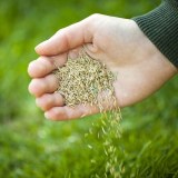 Jubilee Seeds & Turf