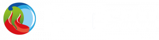 Birdsall Services Limited logo
