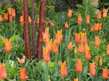 Katherine Crouch Garden Design
