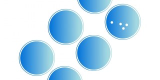 Kelly Scientific Resources