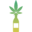 Acad