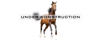 Kingwood Stud Limited