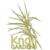 Knoll