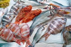 Bradshaw Hall Fisheries Limited
