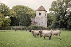 Anglican Society For Welfare Of Animals