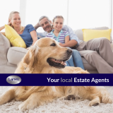 Lanes Property Agents logo