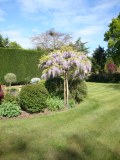 Latchmoor Garden Care