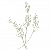 Lavender Hall Fishery Limited logo