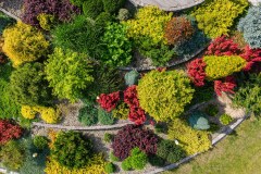 Lawncare Garden Services