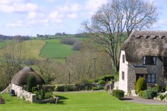 Lea Hill