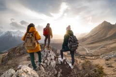 Leornian Consulting