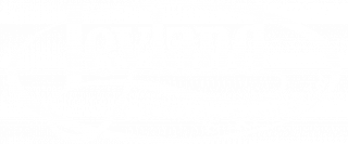 Leyland Cleaning Services logo