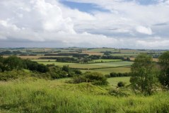Lincolnshire Wildlife Trust logo