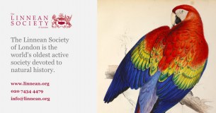 Linnean Society Of London logo
