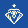Lion Profiles
