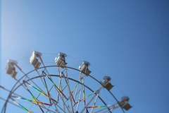 Little Bird Co. Limited