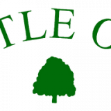 Little Oak Tree Care