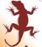 Lizardproperty.Co.Uk