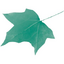 Lochalsh & Skye Housing Association Limited