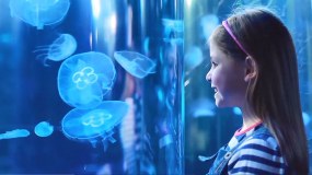 London Aquarium