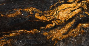 Long Ashton Research Station logo