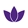 Lotus Limited