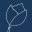 Louise Florist