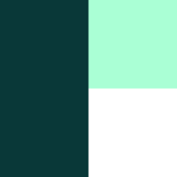 M J Mapp