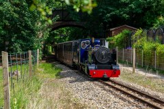 Bure Valley Railway