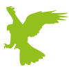 Cotswold Falconry logo