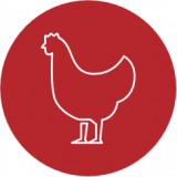 M.I. Drilling Fluids Limited