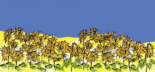 Maiden Castle Farm Guest House logo